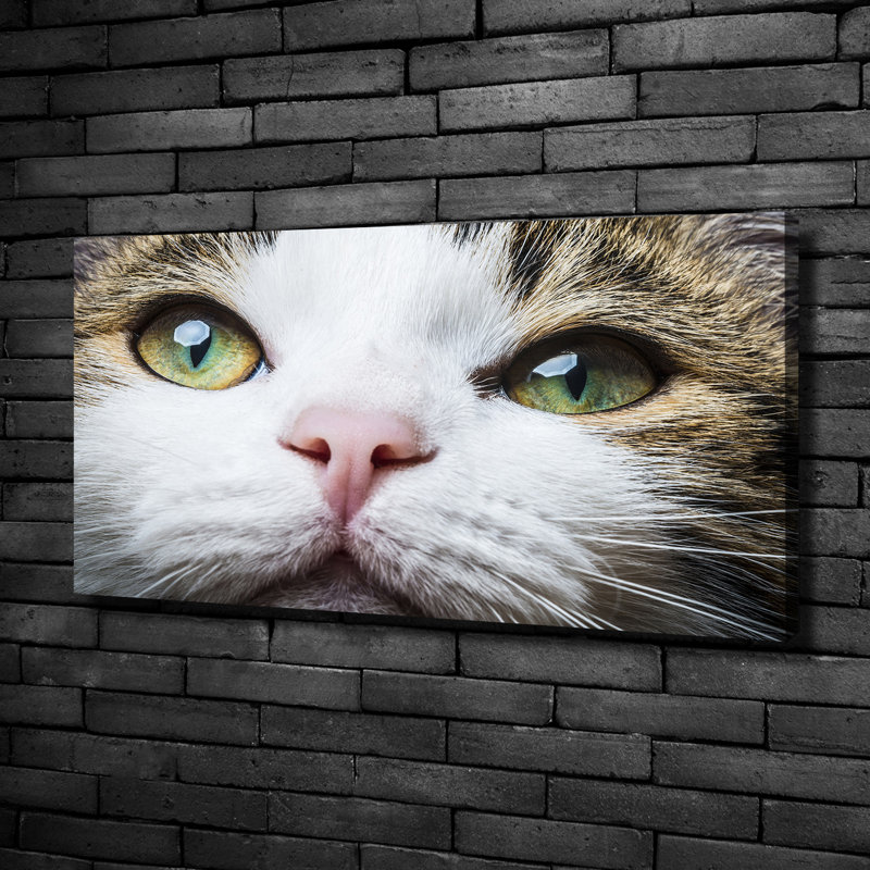 Green Cat'S Eyes - No Frame Print on Canvas