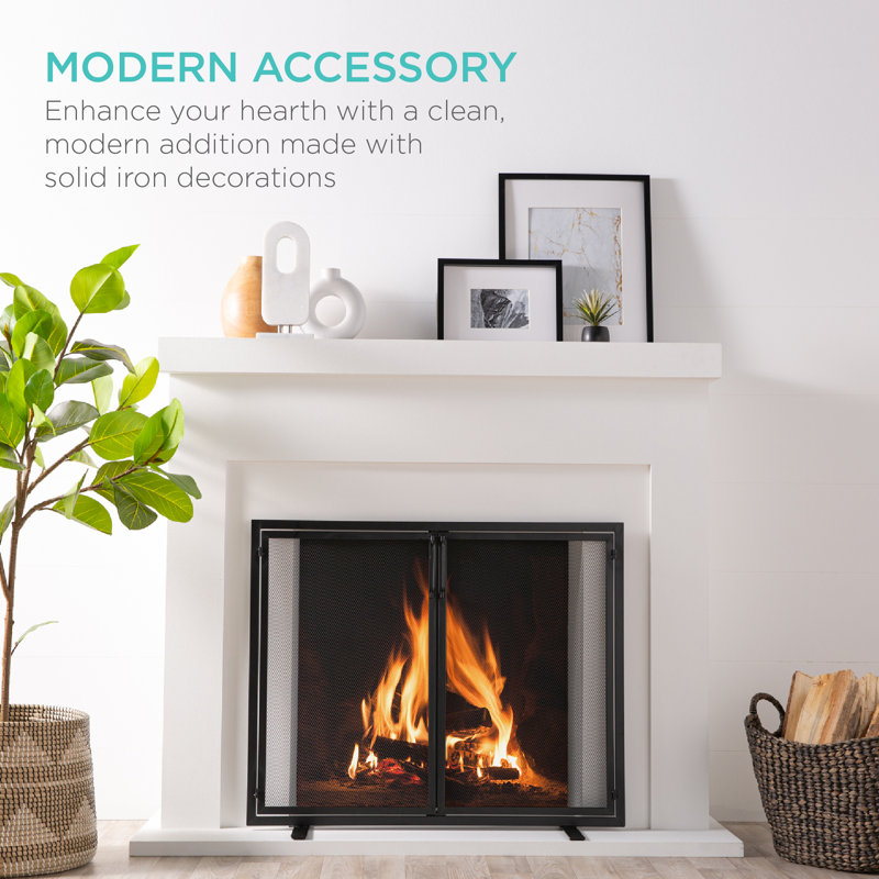 Black Wrought Iron Mesh 2-Door Fireplace Screen