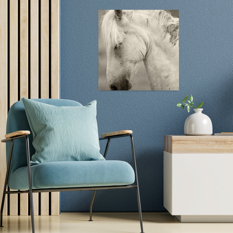 Peaceful White Horse Contemporary Horse Wall Art, 18" H x 18" W