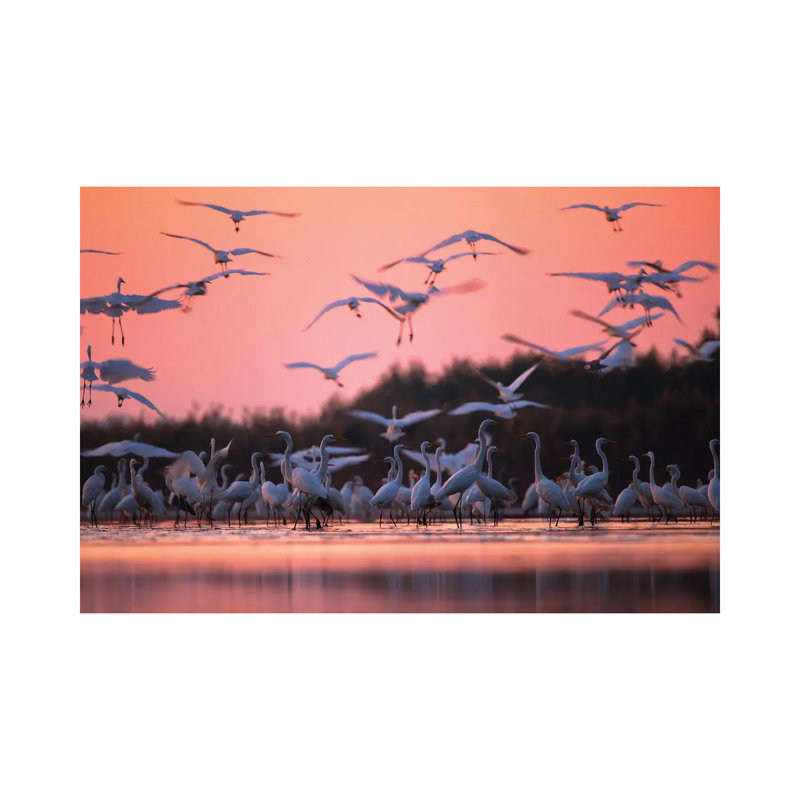 Morning Meeting by Mateusz Piesiak - Wrapped Canvas Print, 20.32 cm H x 30.48 cm W