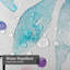 Rideau de douche mauve avec 12 crochets Watercolor-1816576873