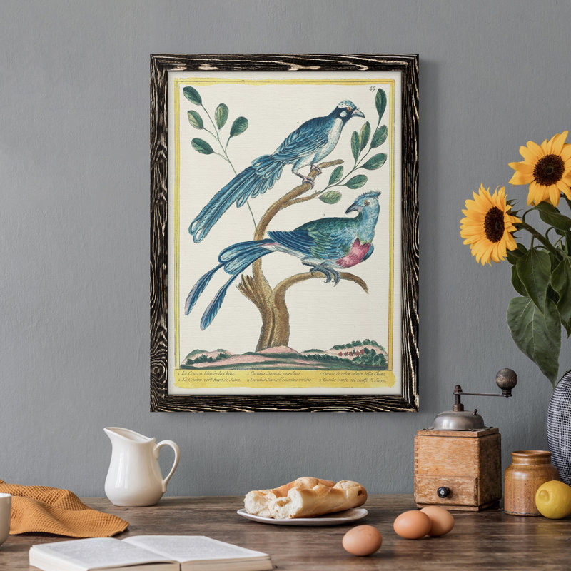 Toile encadrée Pastel Birds VI Premium - prête à être accrochée, H 44 po x l 31 po x P 1 po, Noir