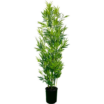 Plante artificielle en bambou fabriquée à la main 6 po Primrue Designer