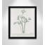 Jeanette Parsley II Framed On Paper by Albert Koetsier Print-88318120-88318124
