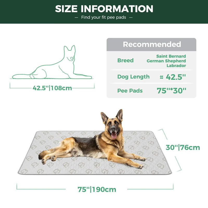 Protège-patins lavables pour chiens, antidérapants et antidérapants, spécialement conçus pour l'entraînement à la propreté, rectangulaire de 30 po x 75 po, kaki, 2 paquets