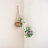 Kelsch Hanging Planter