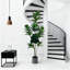 180cm Plant