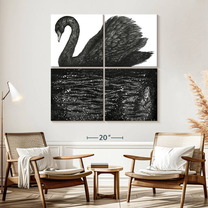 Black Swan Reflection