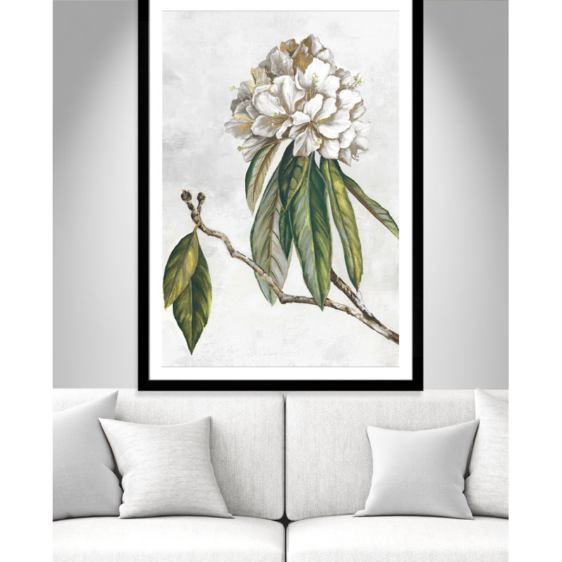 «Pearly Beauty II» par Eva Watts, L 39 po x H 55 po, Imprimé mat, Satin Black