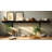 Rayne Red Oak Bracket Shelf Black-109561216