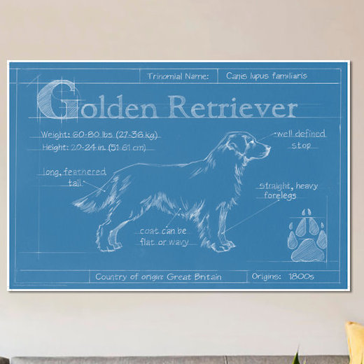 «Blueprint of a Golden Retriever», reproduction d'art sur toile, H 26 po x l 40 po x P 1,5 po, Toile tendue, Pas de tapis