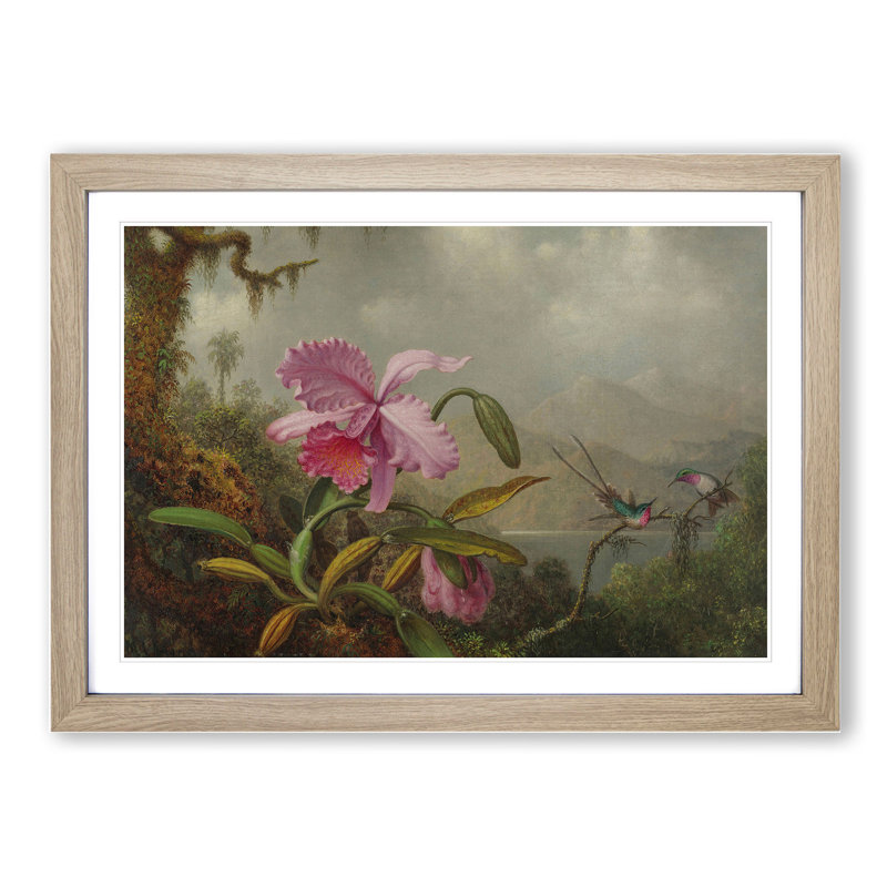 Orchid with Hummingbirds Vol.1 by Martin Johnson Heade - Picture Frame Painting, 27cm H x 36cm W x 2cm D, Oak Framed