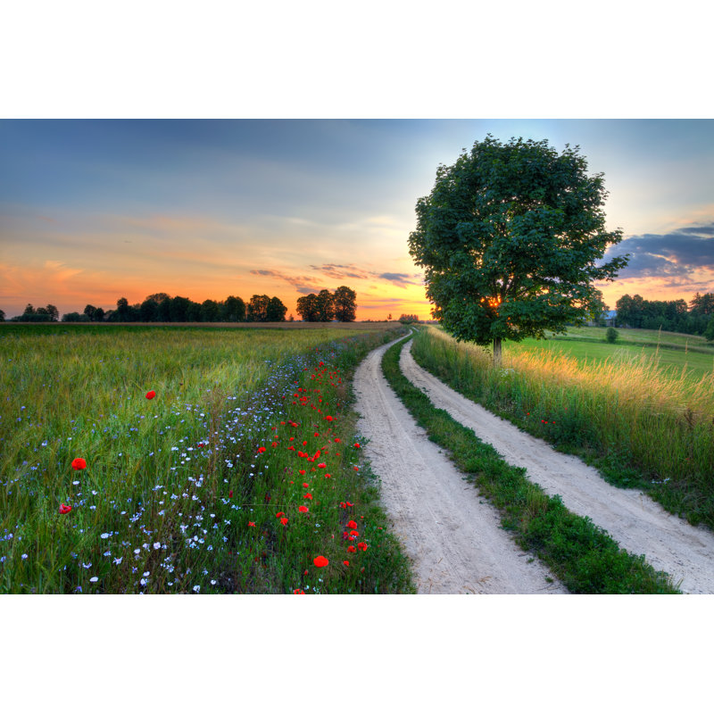 Road Wheat Field by Ysuel - Wrapped Canvas Print, 61cm H x 91cm W x 3.8cm D