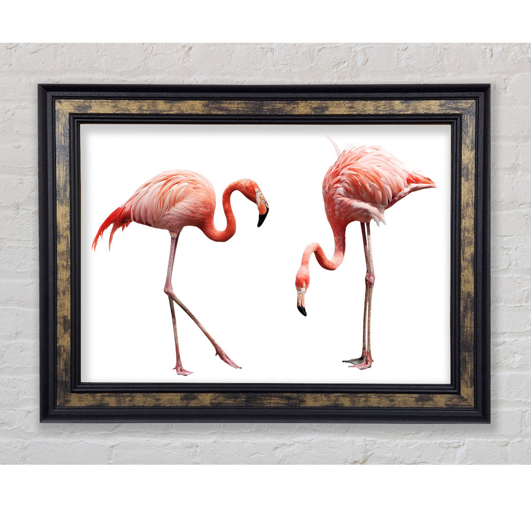 Finis Pink Flamingo Duo Gerahmter Druck Wandkunst