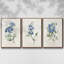 Farmhouse Periwinkle I 3 pièces-97795695-97795701