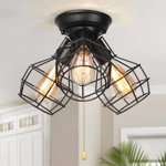 Hadsell Flush Mount