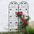 Rustproof Iron Trellis Elegant Black Design Versatile Outdoor Use