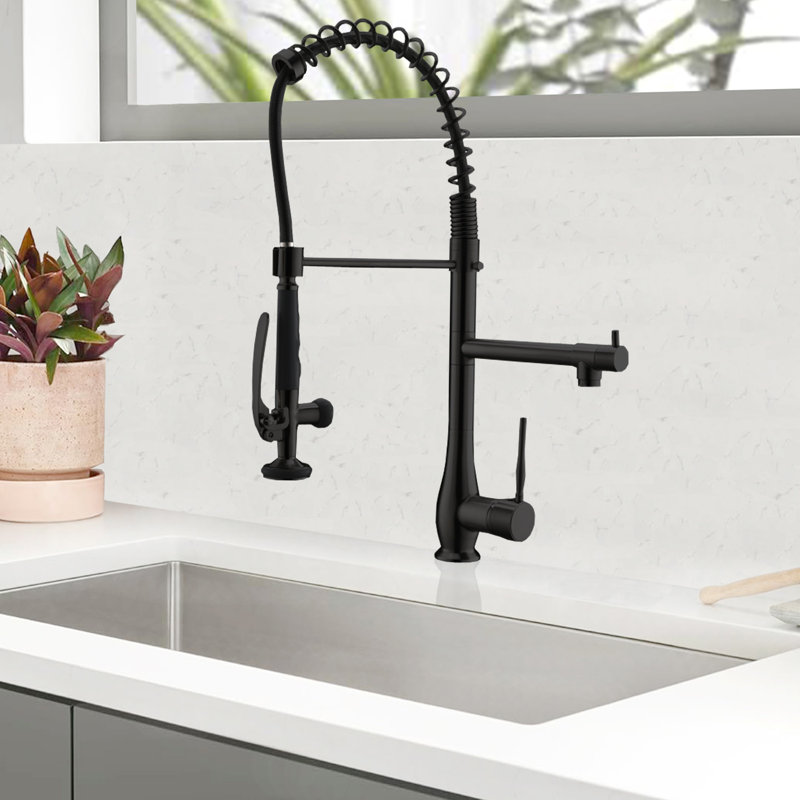 Robinet de cuisine avec douchette rétractable, robinet d'évier de cuisine à haute pression à poignée simple, robinets de cuisine commerciaux en acier inoxydable à deux têtes, nickel brossé