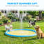 Dog Pool-129163843