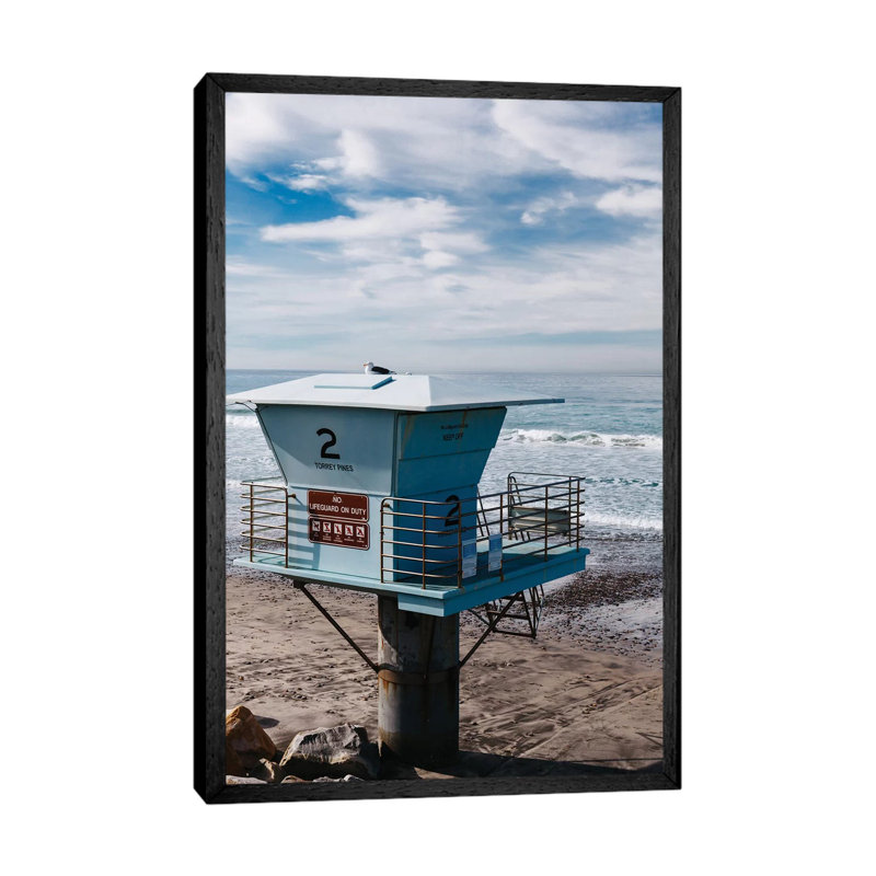 Torrey Pines San Diego IV by Bethany Young - Print on Canvas, Black Framed, 101.6cm H x 66.04cm W x 3.81cm D