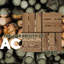 30.5cm L x 30.5cm W Solid Wood Interlocking Deck Tile-224781419