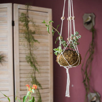 Plant Hanger