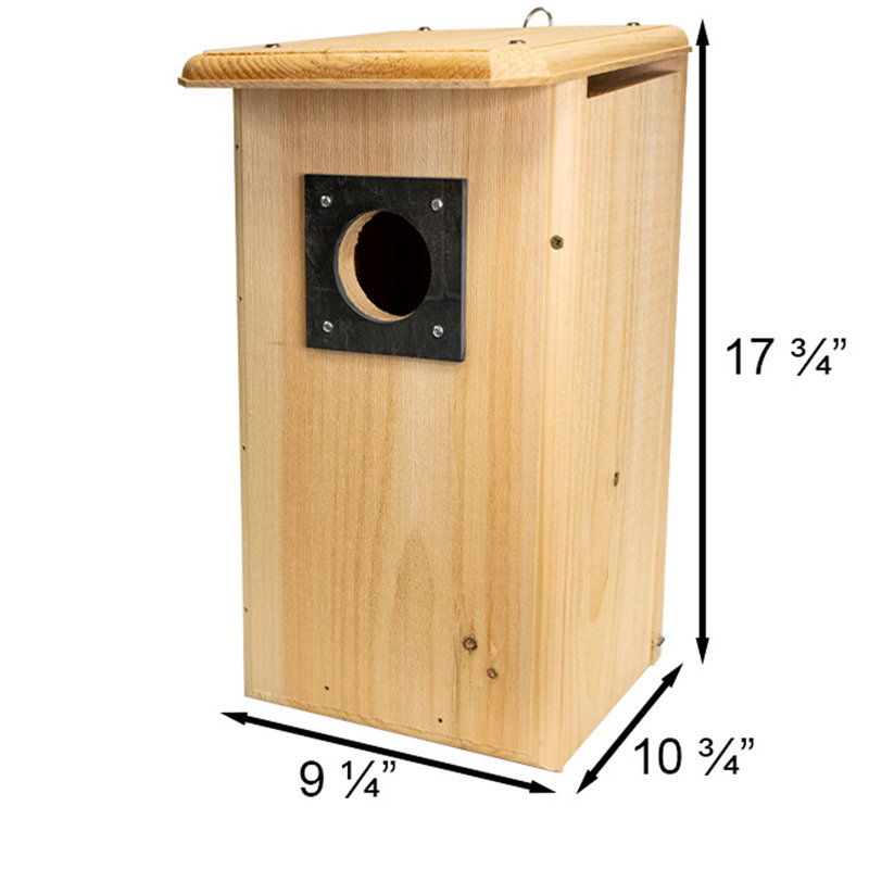 Maison d'oiseaux Shameria Flicker