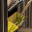 Black Solid wood Shoe Storage