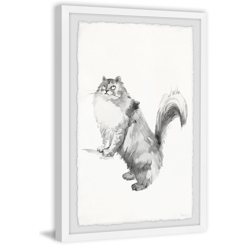 «Gray Maine Coon» par Parvez Taj - reproduction de cadre photo, H 12 po x l 8 po x P 1,5 po