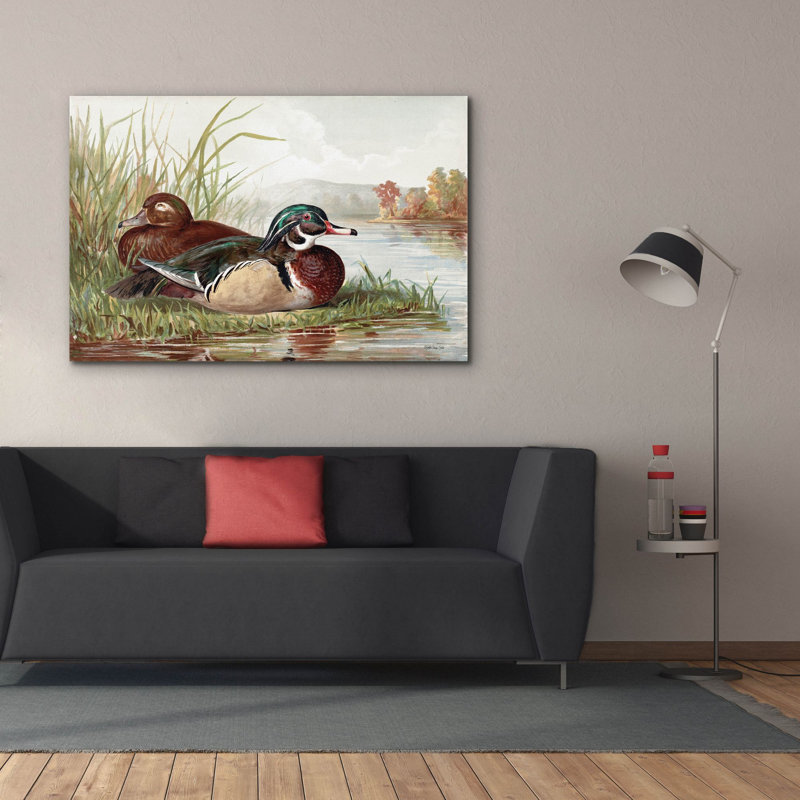  'Resting Duck 2' by Stellar Design Studio Canvas Wall Art, 60" x 40"