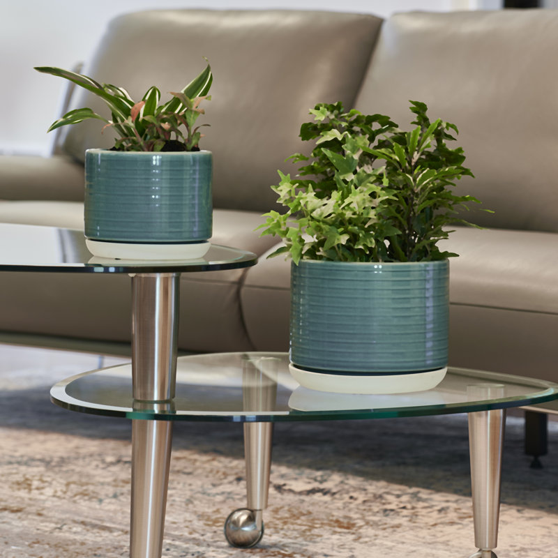 6.3" Vado Planter, 2-pack
