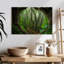 Jungle brumeuse d'Alvord en Asie-107723876