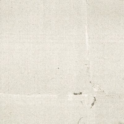Hotaka 9.9' L x 36" W Wallpaper Roll