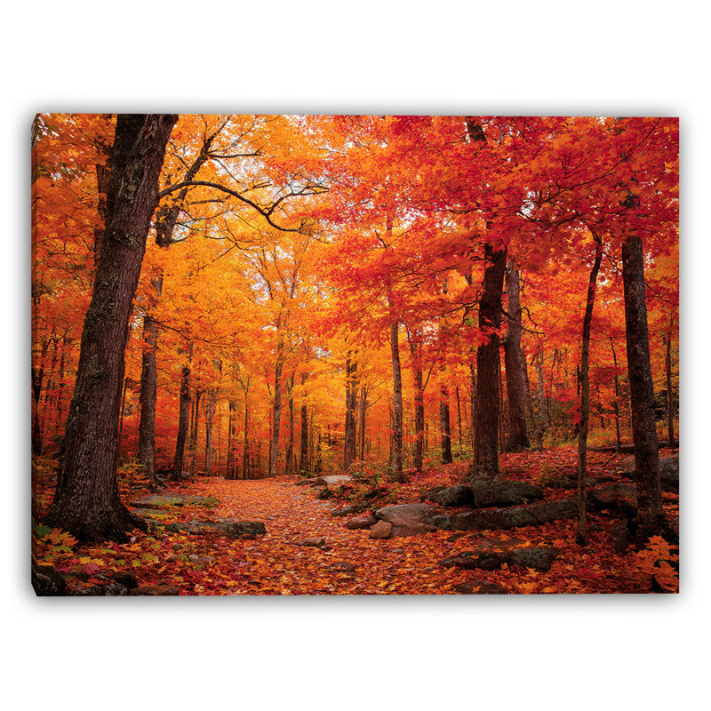 Autumn Bridgeway Vista Wrapped Canvas Wall Art, 36" H x 48" W