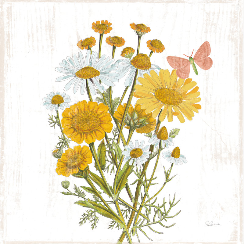 Fleurs de grange blanches X, H 36 po x l 36 po