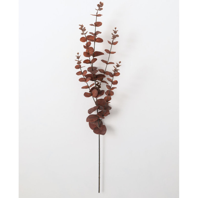 Jet eucalyptus