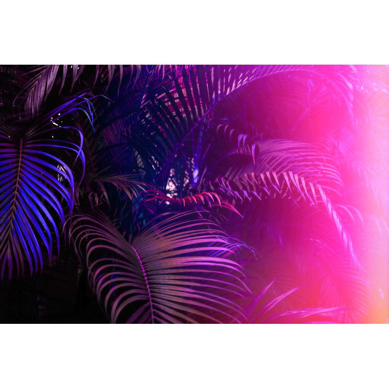 Feuilles de palmier mauve Tibisay, H 32 po x l 48 po