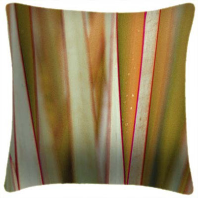 Grass 3 - Ella Lancaster Cushion