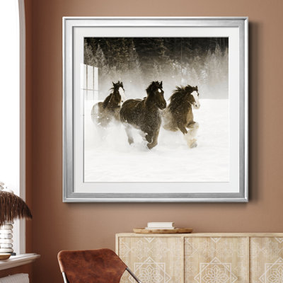 " Winter Roundup II "
