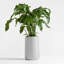 Pot à fleurs Kico-123817437-123817438