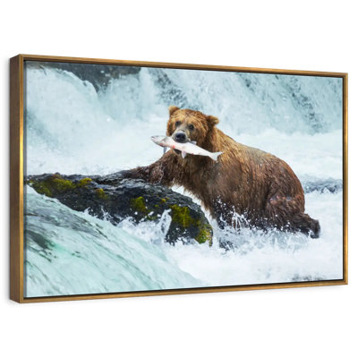 Pêche à l'ours simple