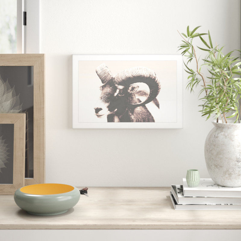 Parvez Taj - Single Picture Frame Print, 41cm H x 61cm W x 3.81cm D