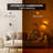 Cylinder Wall Light Black Plug-In Night Light With Light Sensor, 3000K Warm White, Sliding Dimmer