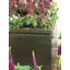 Melvina Handmade Pot Planter-26235717