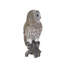 Barred Owl on branch | Handcrafted Decorative Bird Statue for Home & Garden | Premium Polyresin, Weather-Resistant Indoor/Outdoor Decor-651025577