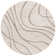 Ashal Abstract Indoor Rug