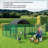 Dovidio 10 Square Feet Chicken Run For Up To 30 Chickens