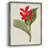FloraOfTheTropicsIV Framed Print - Solid Wood-1566531589