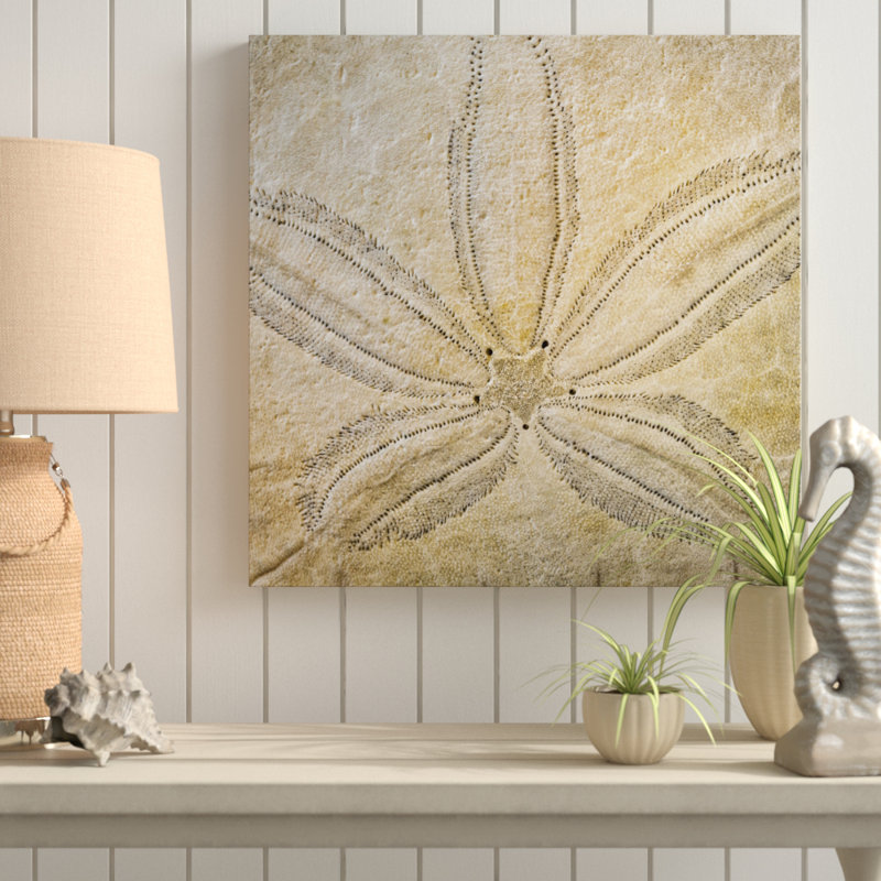 « sable dollar design », reproduction de photo sur toile tendue