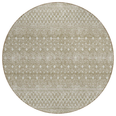  Bhavya Area Rug